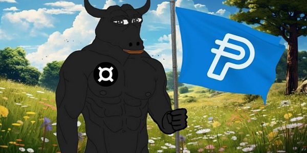 解析 Paypal 稳定币支付的内在逻辑 与迈向 Mass Adoption 的演进思路缩略图