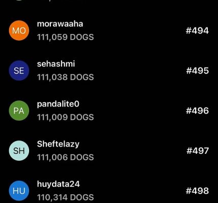 两天订阅人数破250万：DOGS 空投却可能不值一顿猪脚饭缩略图
