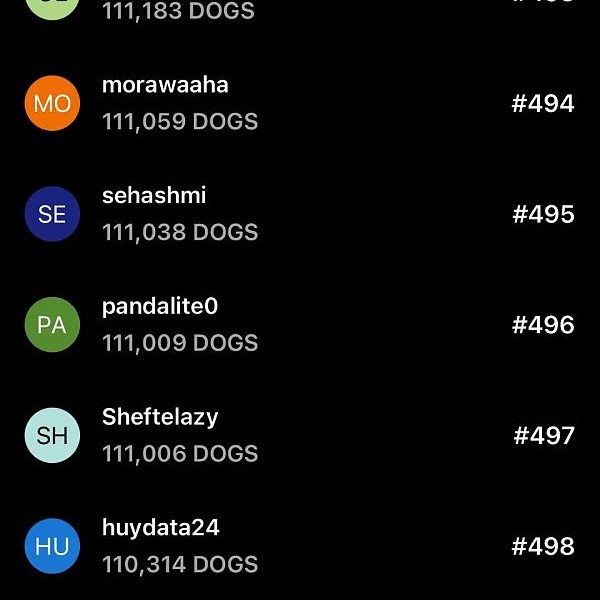两天订阅人数破250万：DOGS 空投却可能不值一顿猪脚饭缩略图